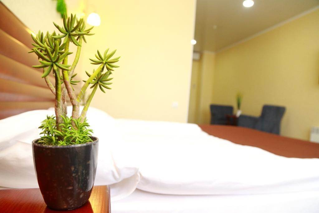 Green City Hotel Bisjkek Buitenkant foto